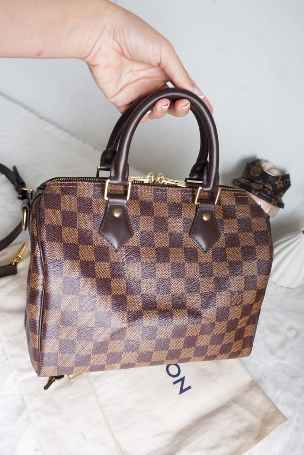 Speedy 25 damier ebene bando with dust bag and key set